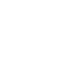 runner icon