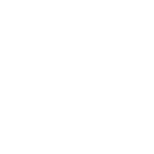 earth icon