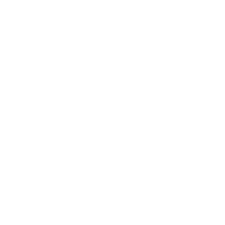 light bulb icon