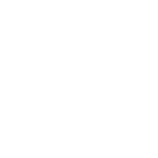 pennant icon