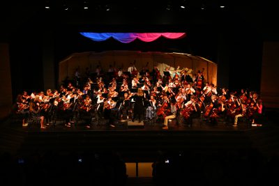 Orchestra Performance