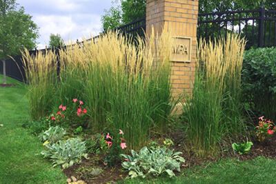 MPA campus in bloom