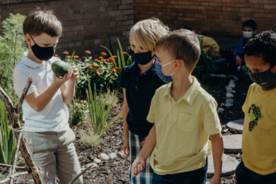 lower school students harvesting the garden